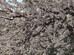 -吉林大学(南岭校区)