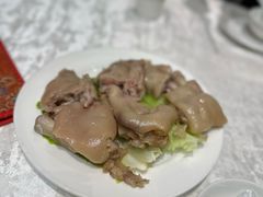 -丁老爷子苏香圆