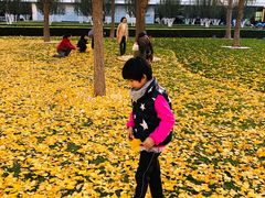 -北京金融街丽思卡尔顿酒店·意味轩 Cepe