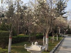 -木塔寺遗址生态公园