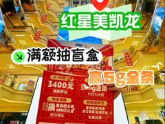 -红星美凯龙北京至尊MALL(东四环中路店)