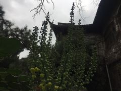 -汇龙潭