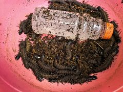 -南坛综合农贸市场