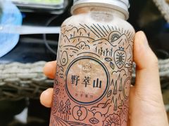 -野萃山·潮汕厚果汁(十亩地店)