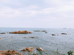-八大关景区