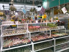 -KKV(深圳宏发大仟里店)