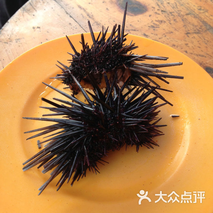 五彩滩烧烤摊-烤海胆图片-北海美食-大众点评网