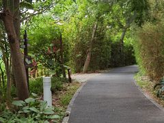 -华侨城湿地公园