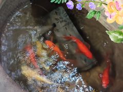-箱美术馆私房菜(水晶郦城店)