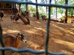 -昆明动物园