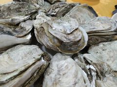 -蚝专家(北滘店)