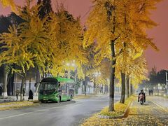 -四川大学(望江校区)
