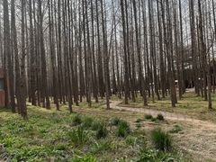 -日照海滨国家森林公园