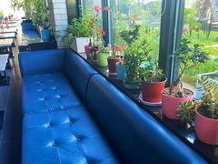 -玫瑰西餐厅.意面披萨.牛排咖啡