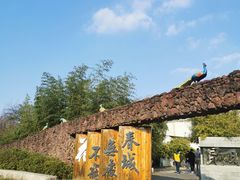 -武汉园博园(武汉自然博物馆)