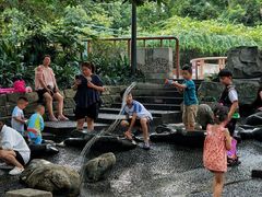 -成都市活水公园