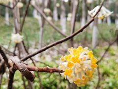 -青枫公园
