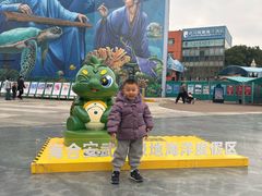 -海合安武汉极地海洋公园