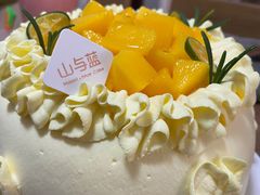 -山与蓝·轻糖鲜果蛋糕(勒泰店)