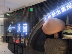 -一朵菌·野生菌探索家火锅(南亚店)