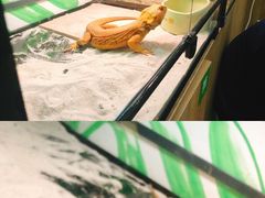 -藦茜花园宠物主题亲子互动体验馆(国顺东路店)
