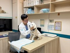 -虹泰宠物医院 ·旗舰店·24h(南秀路店)