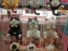 -酷乐潮玩(金桥国际店)