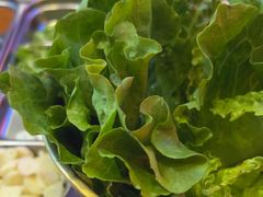 -杨记齐齐哈尔烤肉(总店)