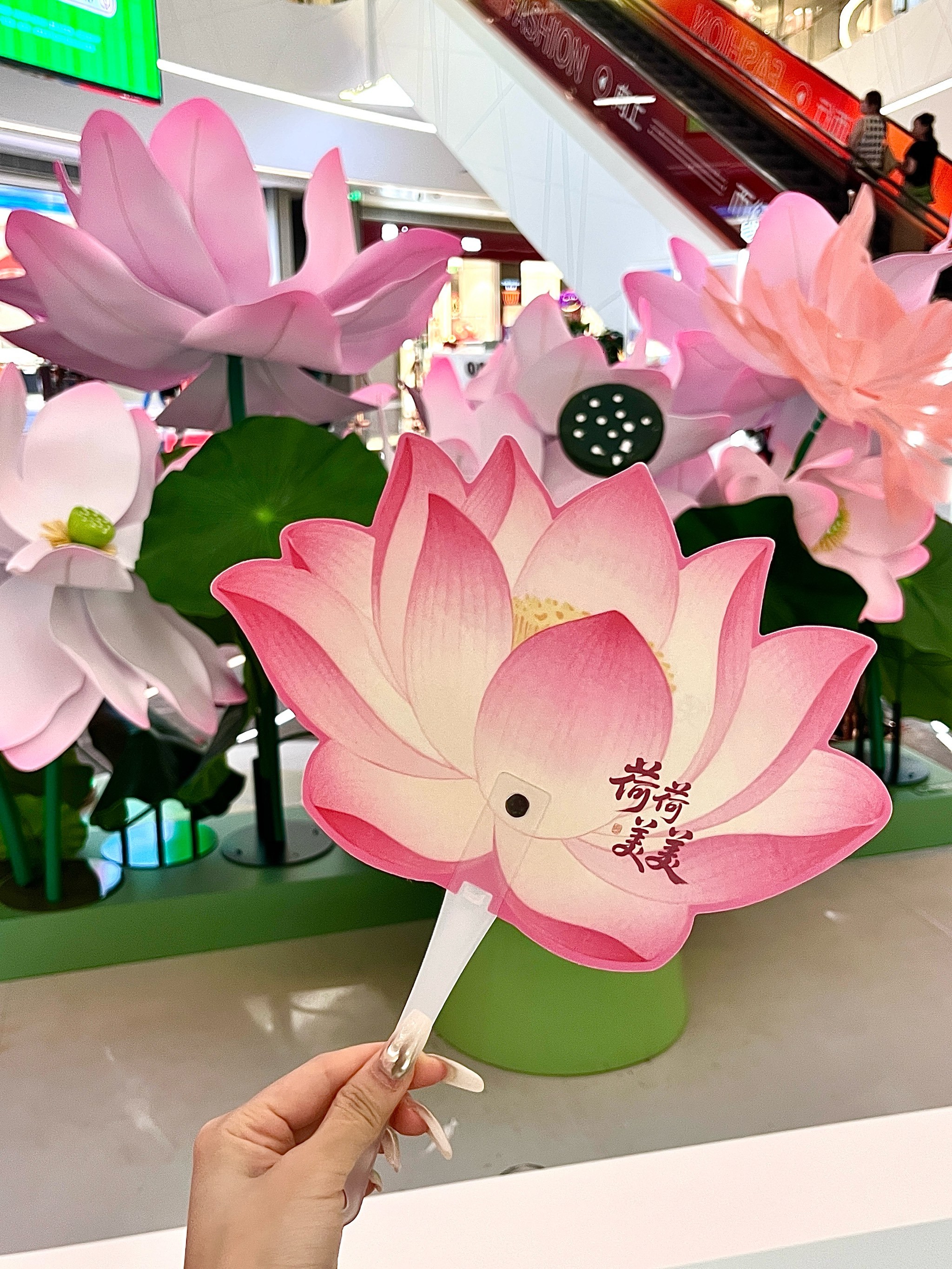 莲蓬拍摄创意摄影教程，技巧大全