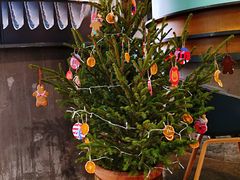 景观位-Wagas沃歌斯(太古汇店)