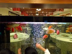 -悦百味·品质川菜(橄榄郡店)