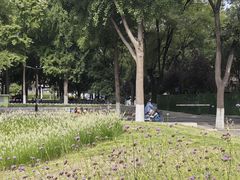 -山东大学(趵突泉校区)