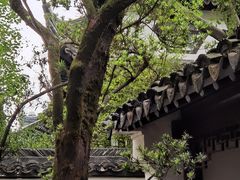 -沧浪亭