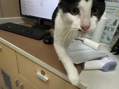 -瑞鹏宠物医院·超声·骨科·奇麟分院(蜀都万达店)