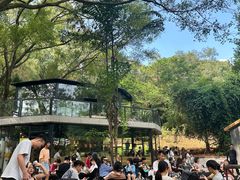 -南国桃园旅游度假区