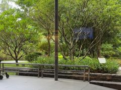 -南宁荔园维景国际酒店·荔园中餐厅