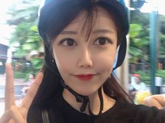 -圣淘沙天际线斜坡滑车