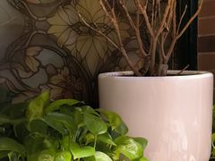 -安德烈俄式西餐厅(中央大街店)