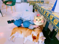 -平行世界·猫咖(首经贸店)