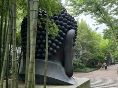 -杭州植物园