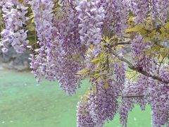 -吴淞炮台湾湿地森林公园烧烤区