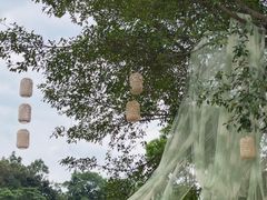 -广西壮族自治区药用植物园