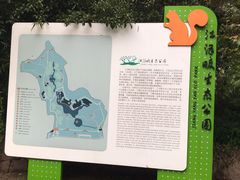 -西湖风景区-江洋畈生态公园