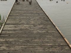 -盐城丹顶鹤湿地生态旅游区