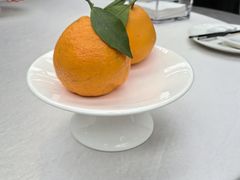 -云境生态园(高新旗舰店)