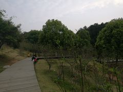 -八仙山公园