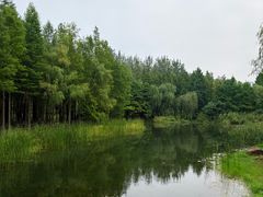-暨阳湖生态园