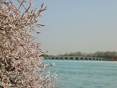 -颐和园