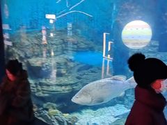 -烟台海昌鲸鲨海洋公园