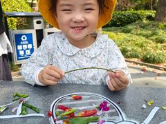 -豆初托育园 Baby Bean Day care Center